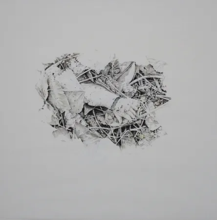 技術的なありません Ebert - Handschuh / Glove