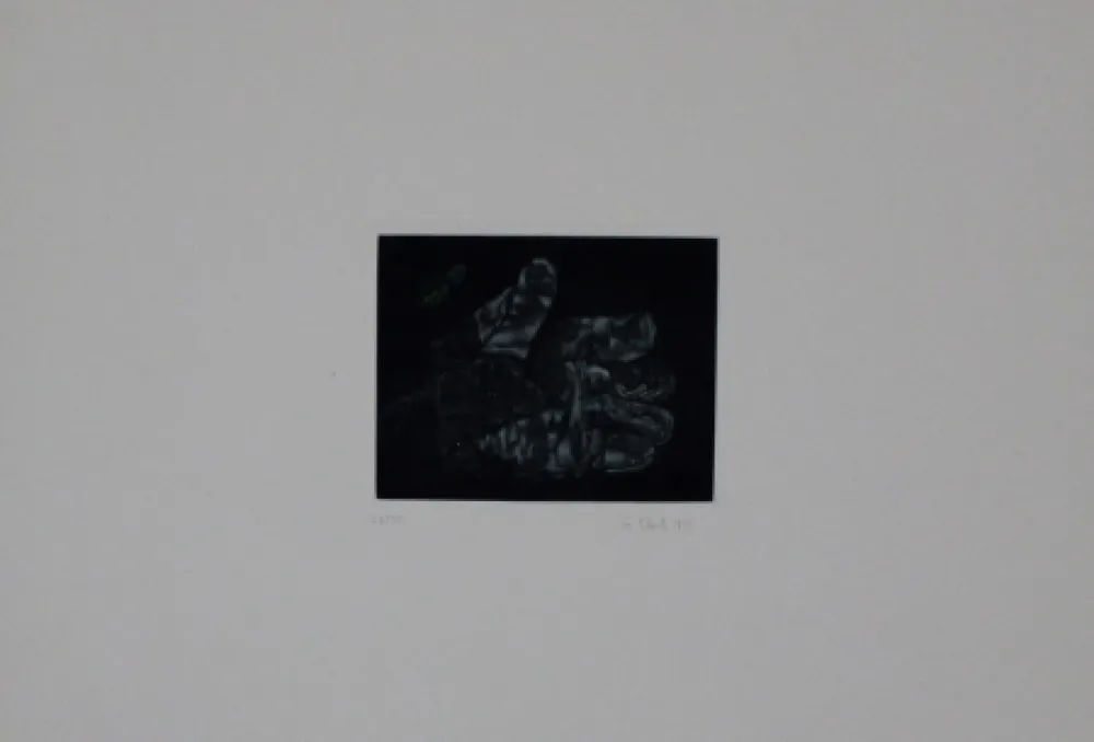 メゾチント彫法 Ebert - Handschuh / Glove