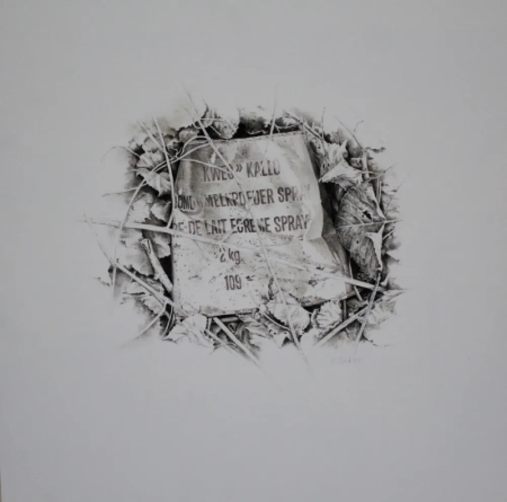 技術的なありません Ebert - Komposition mit Efeu