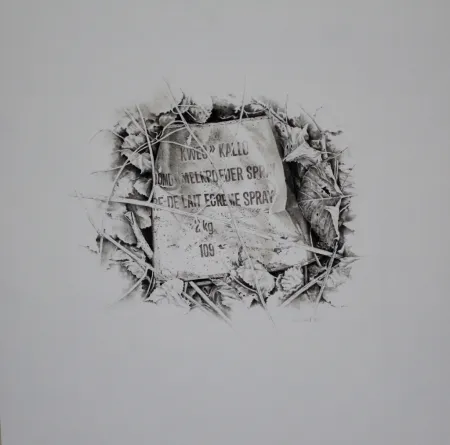 技術的なありません Ebert - Komposition mit Efeu