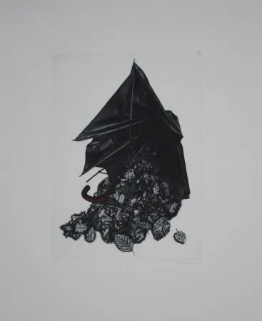 メゾチント彫法 Ebert - Schirm und Blättern