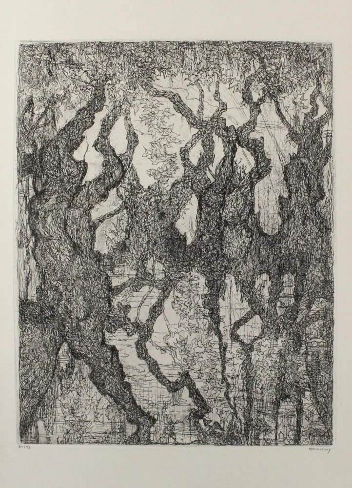 エッチング Eliasberg - Die Platanen des Pelion