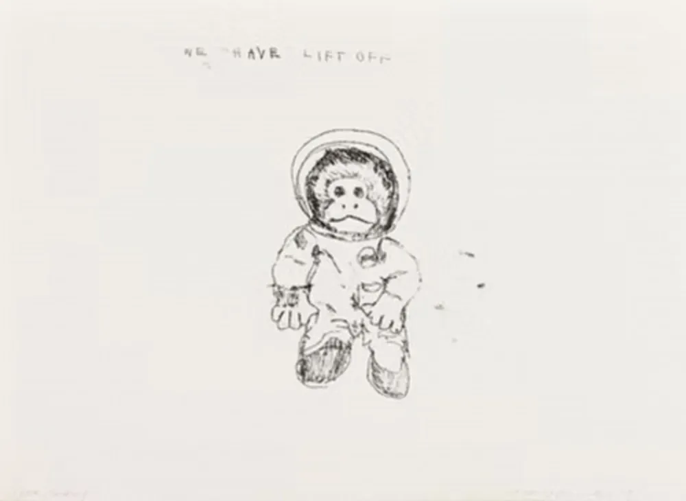多数の Emin - Space Monkey