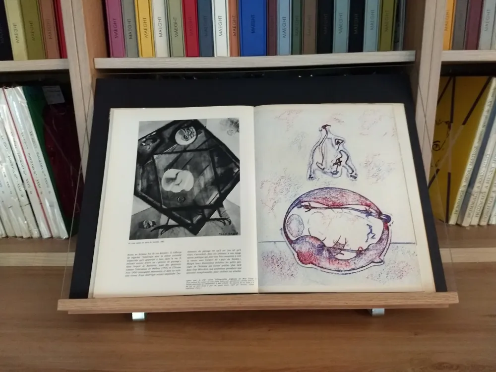 挿絵入り本 Ernst - Hommage