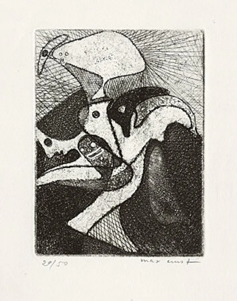 挿絵入り本 Ernst - 