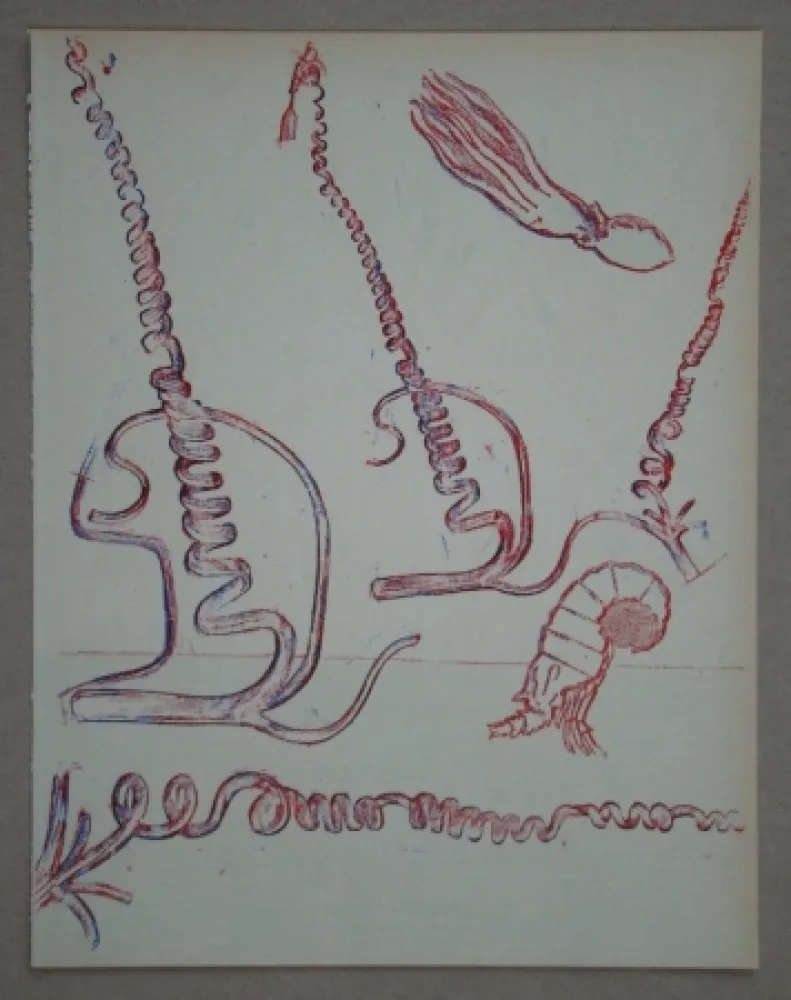 リトグラフ Ernst - Lithograph pour XXe Siècle