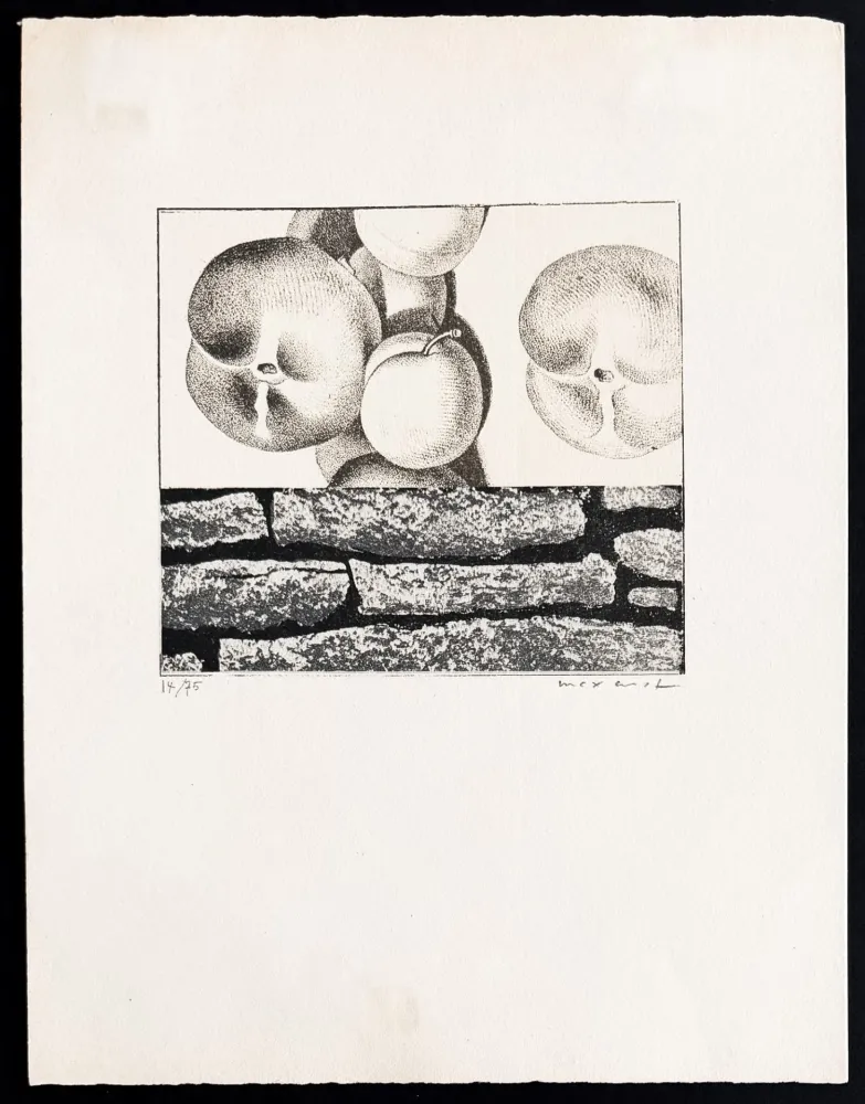 リトグラフ Ernst - Max Ernst (1891–1976) - Fruits défendus - Photolithography on paper - 1968