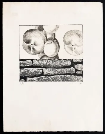 リトグラフ Ernst - Max Ernst (1891–1976) - Fruits défendus - Photolithography on paper - 1968