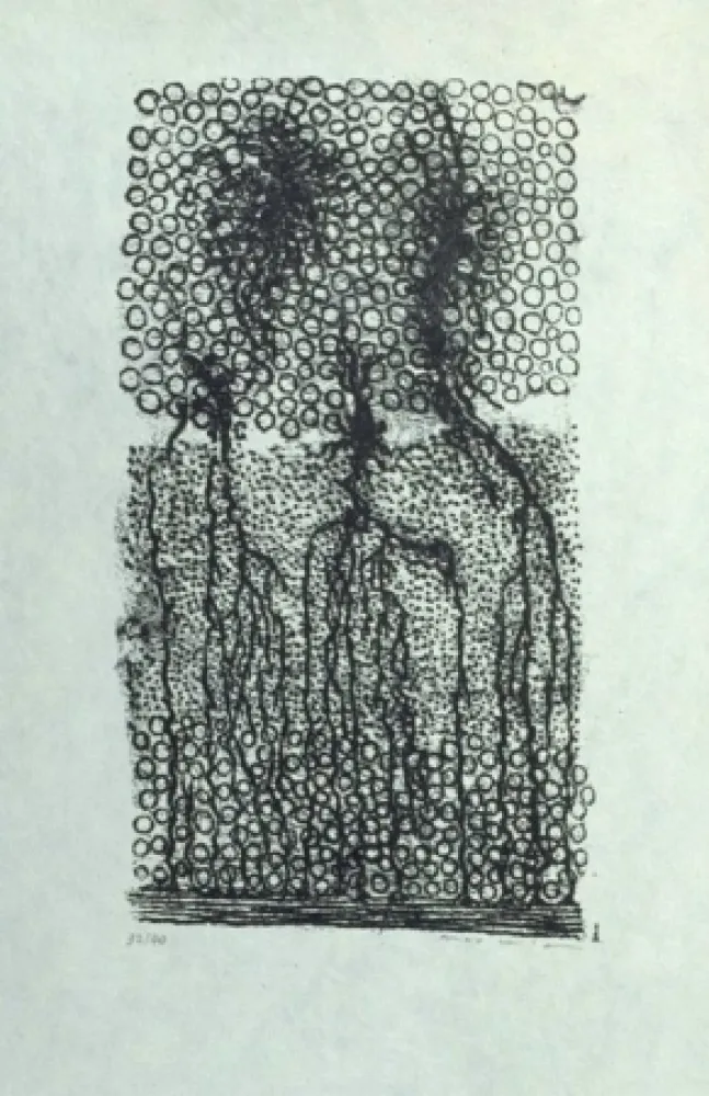 リトグラフ Ernst - Sans titre