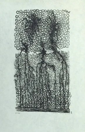 リトグラフ Ernst - Sans titre