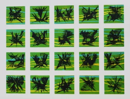 リトグラフ Ernst - Terra Incognita 10