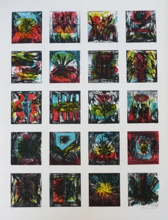 リトグラフ Ernst - Terra Incognita 13