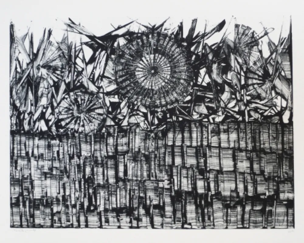 リトグラフ Ernst - Terra Incognita 4