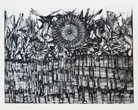 リトグラフ Ernst - Terra Incognita 4