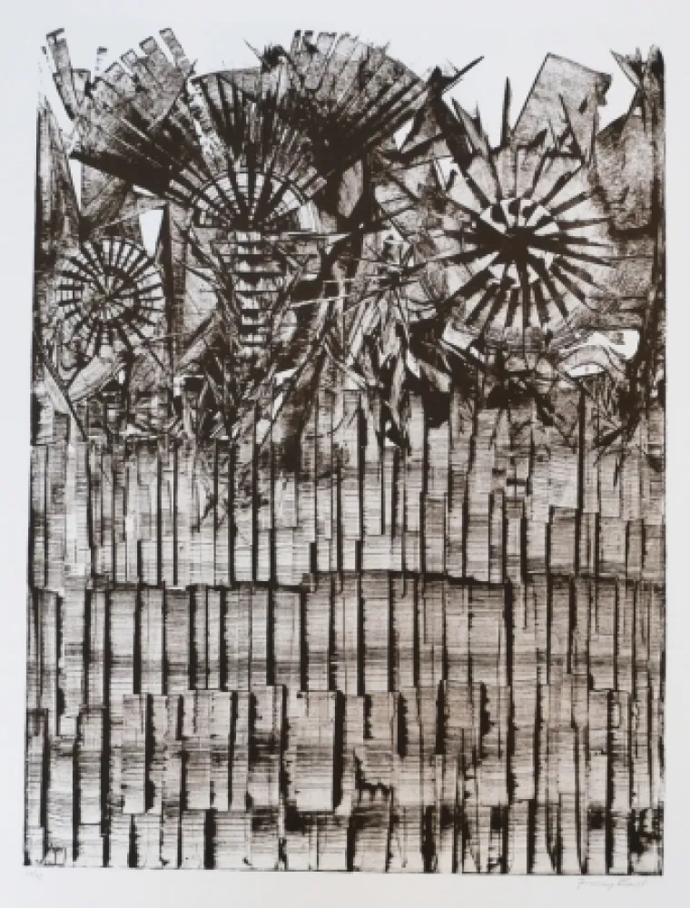 リトグラフ Ernst - Terra Incognita 9