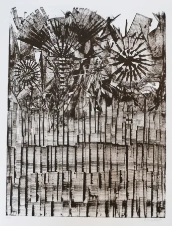 リトグラフ Ernst - Terra Incognita 9