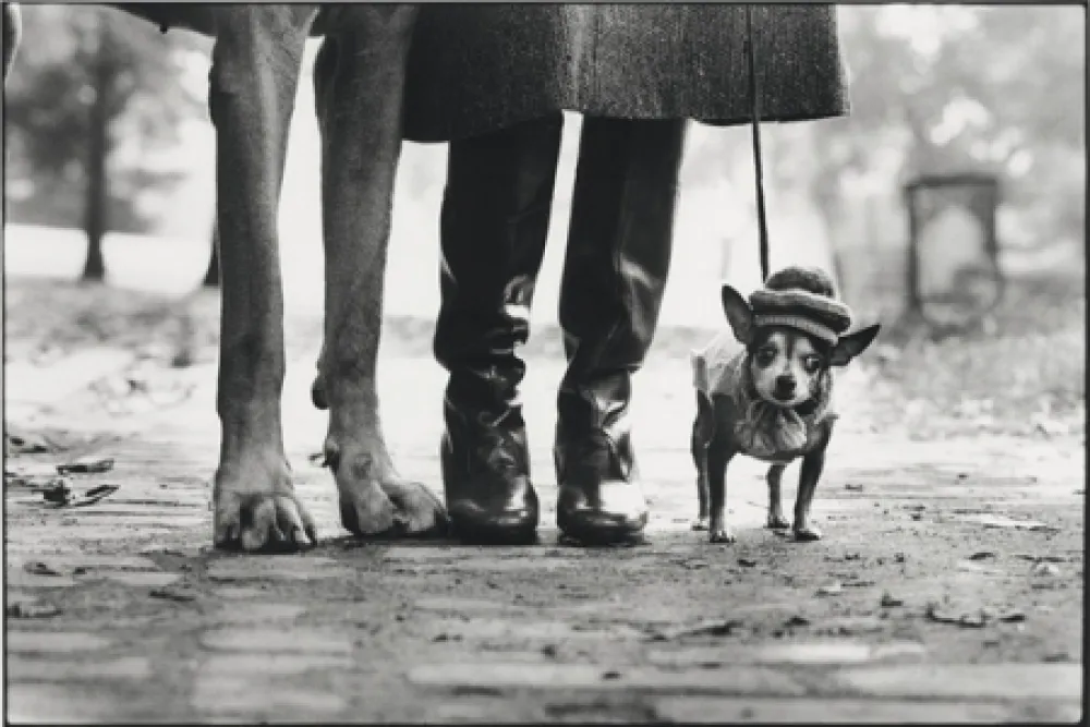 写真 Erwitt - New York City