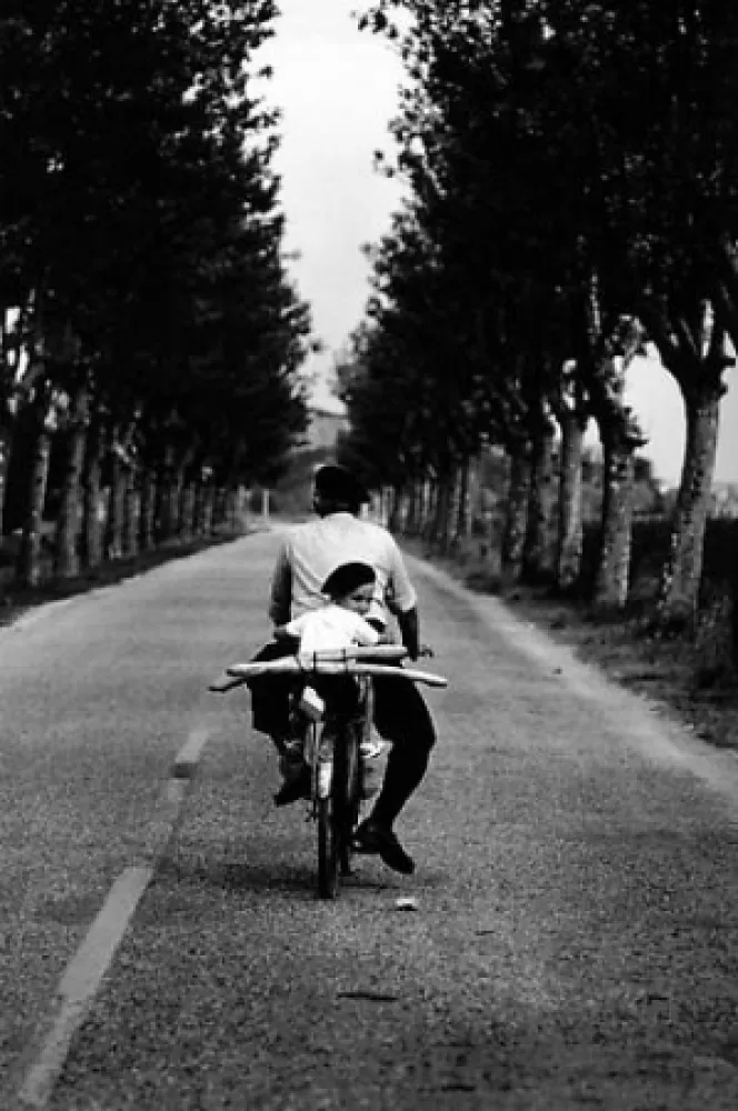 写真 Erwitt - Provence