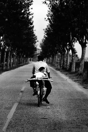 写真 Erwitt - Provence