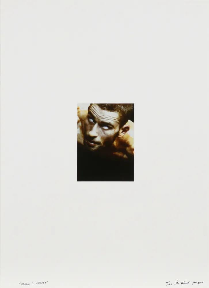 写真 Fabre - Cedric's extase