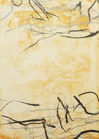 リトグラフ Fabré - Entre Voces