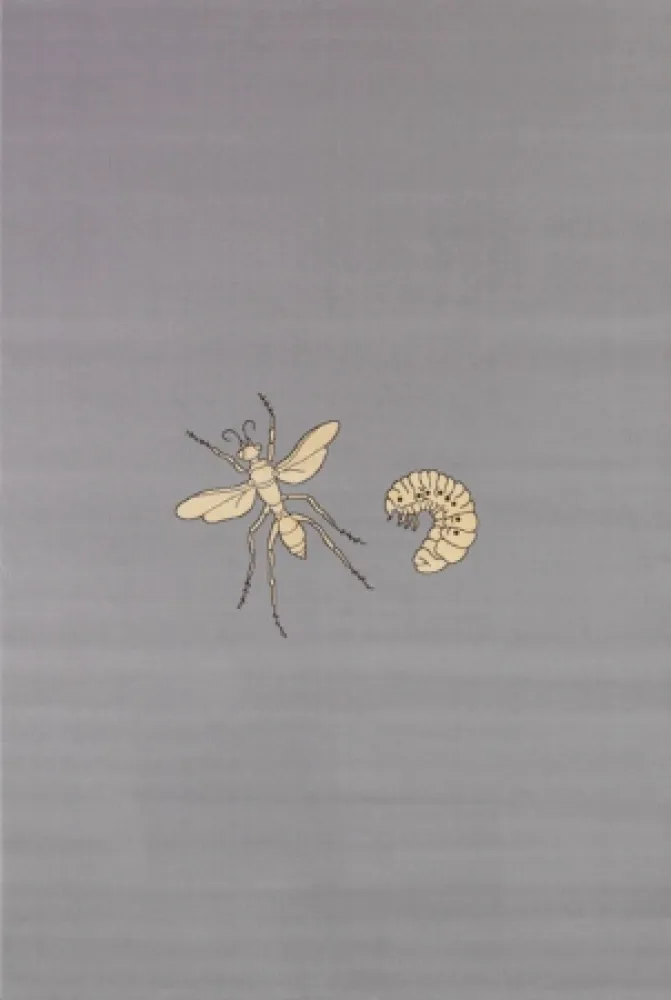 多数の Fabre - Fly