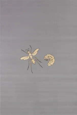 多数の Fabre - Fly