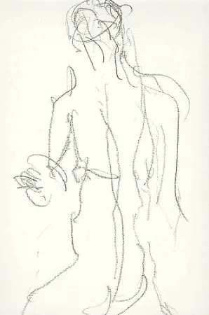 挿絵入り本 Fabro - Art body