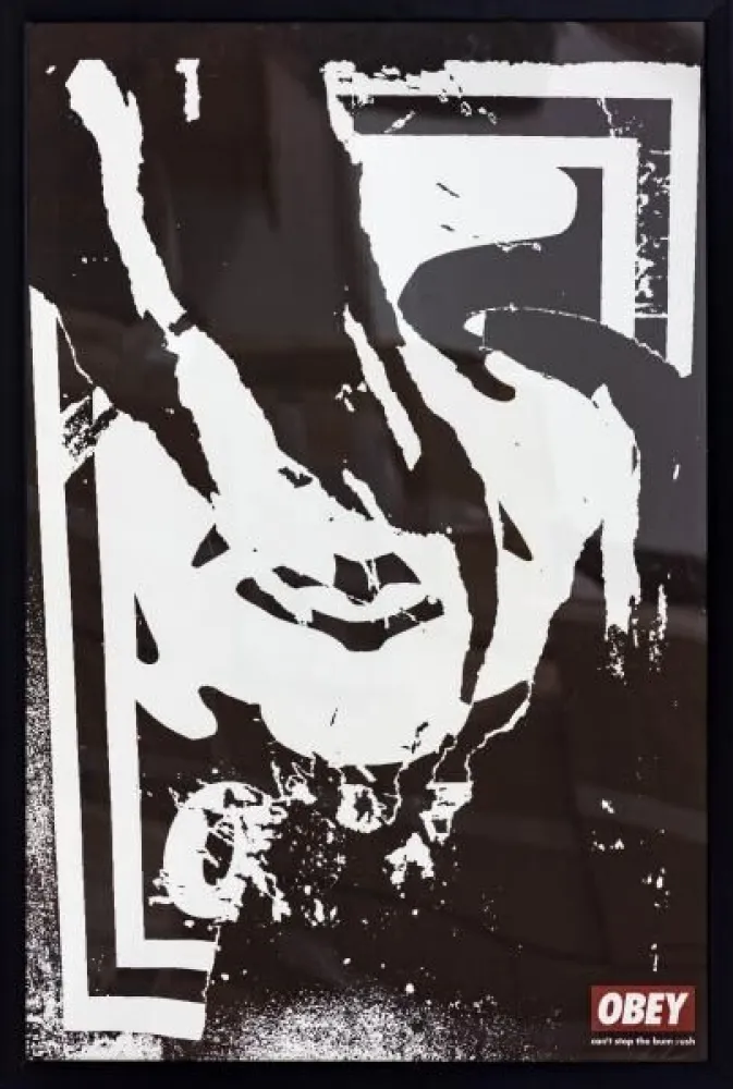 リトグラフ Fairey - Ripped