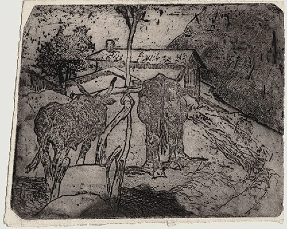 エッチング Fattori - BOVI AGGIOGATI