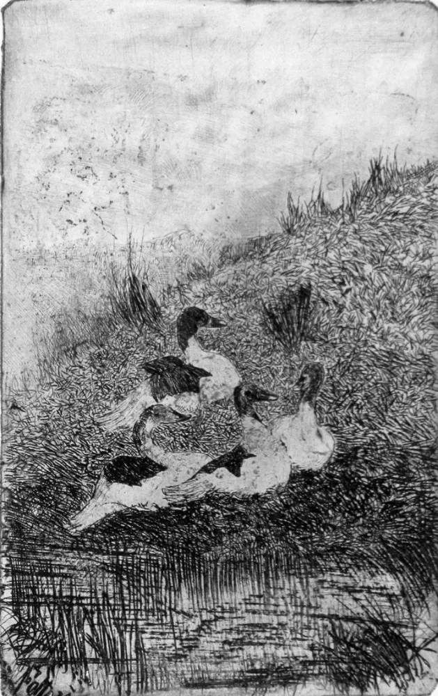 エッチング Fattori - Le anatre