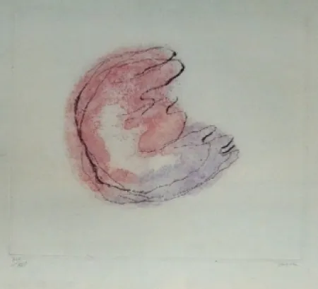 エッチングと　アクチアント Fautrier - Baby Mine