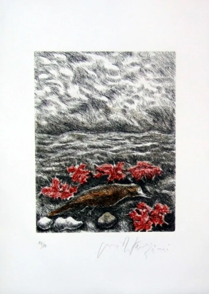 挿絵入り本 Fazzini - Gabbiani