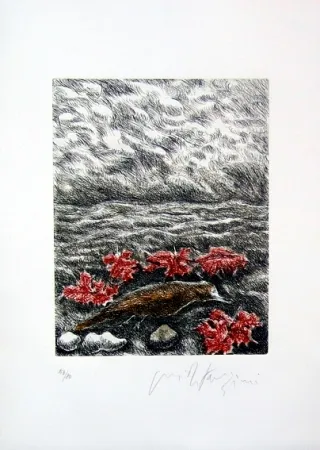 挿絵入り本 Fazzini - Gabbiani