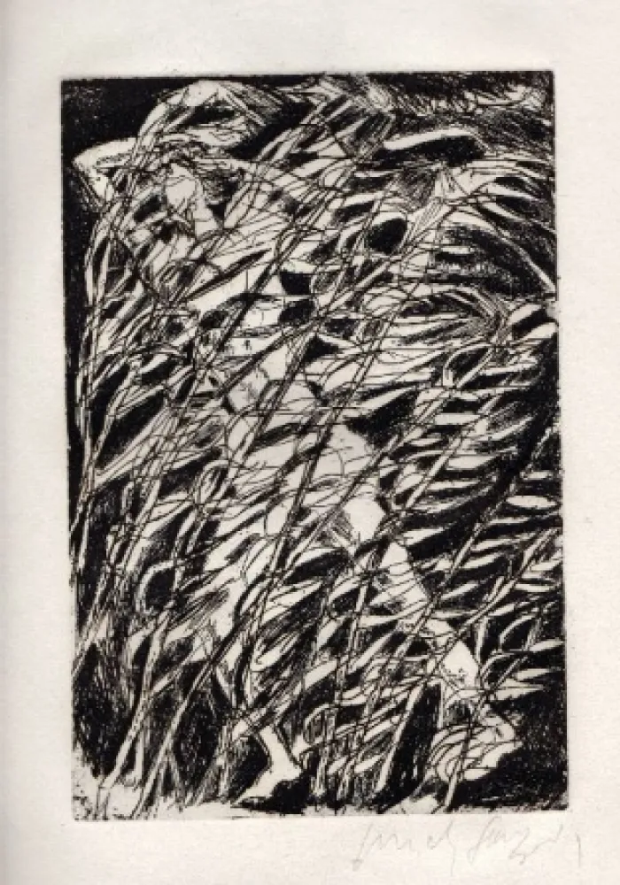 挿絵入り本 Fazzini - Inni