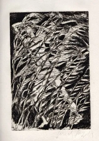 挿絵入り本 Fazzini - Inni