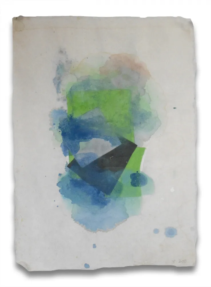 技術的なありません Feinberg - Blur