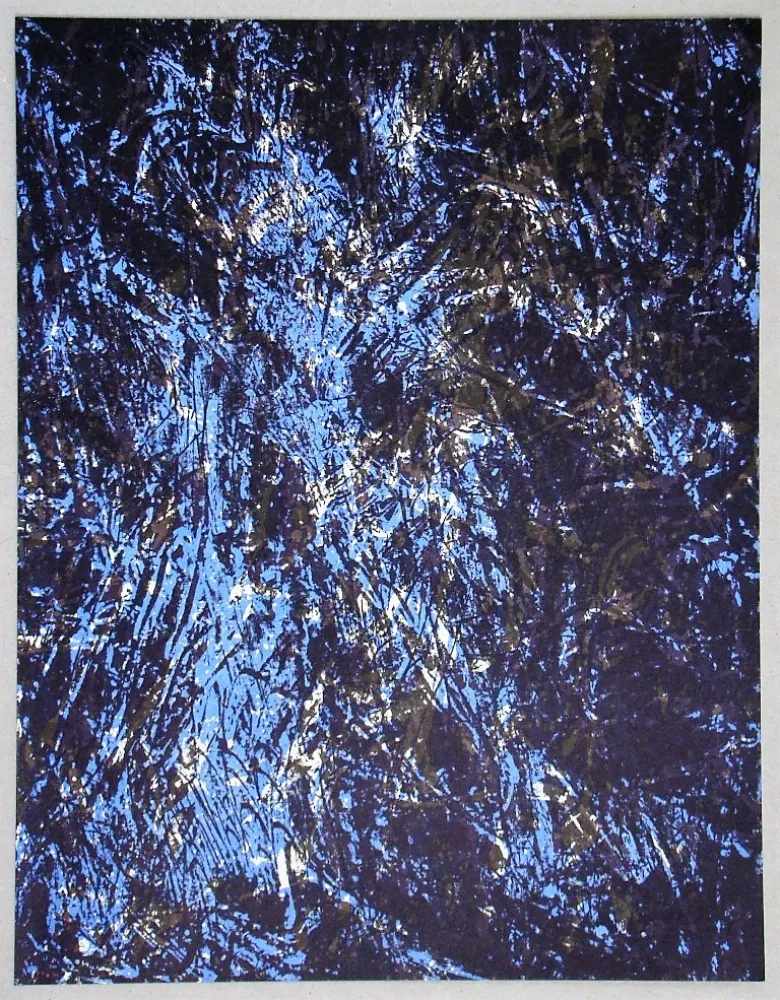 リトグラフ Fiedler - Lithograph pour XXe Siècle