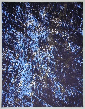 リトグラフ Fiedler - Lithograph pour XXe Siècle