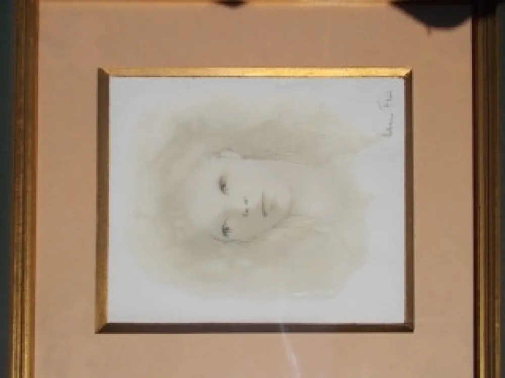 ポイントーセッシュ Fini - Le visage