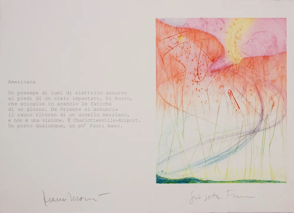 アクチアント Fioroni - Americana