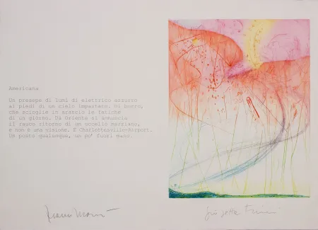 アクチアント Fioroni - Americana