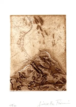 挿絵入り本 Fioroni - Il titolo