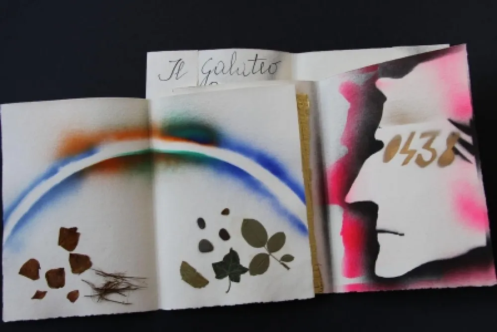 挿絵入り本 Fioroni - Sonetto di veti e iridi