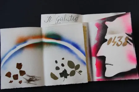 挿絵入り本 Fioroni - Sonetto di veti e iridi