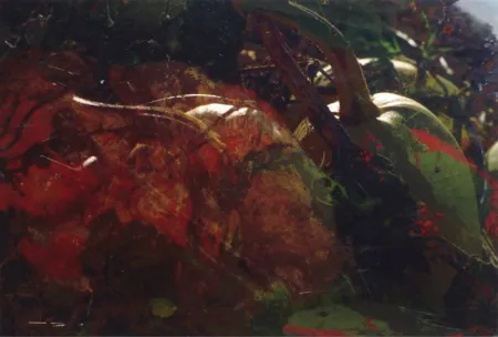 写真 Fischli - Ohne Titel (FW Funghi 19), 1998. Aus der Serie „Blumen und Pilze“.