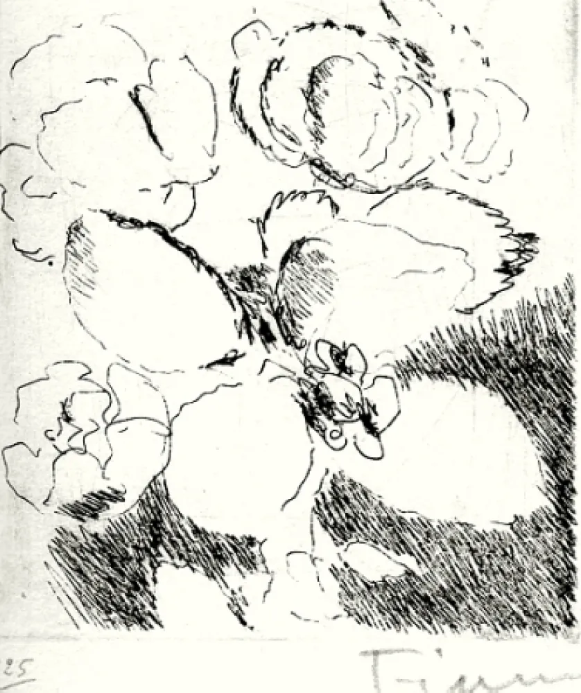 挿絵入り本 Fiume - Dietro le carte