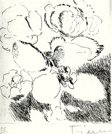 挿絵入り本 Fiume - Dietro le carte