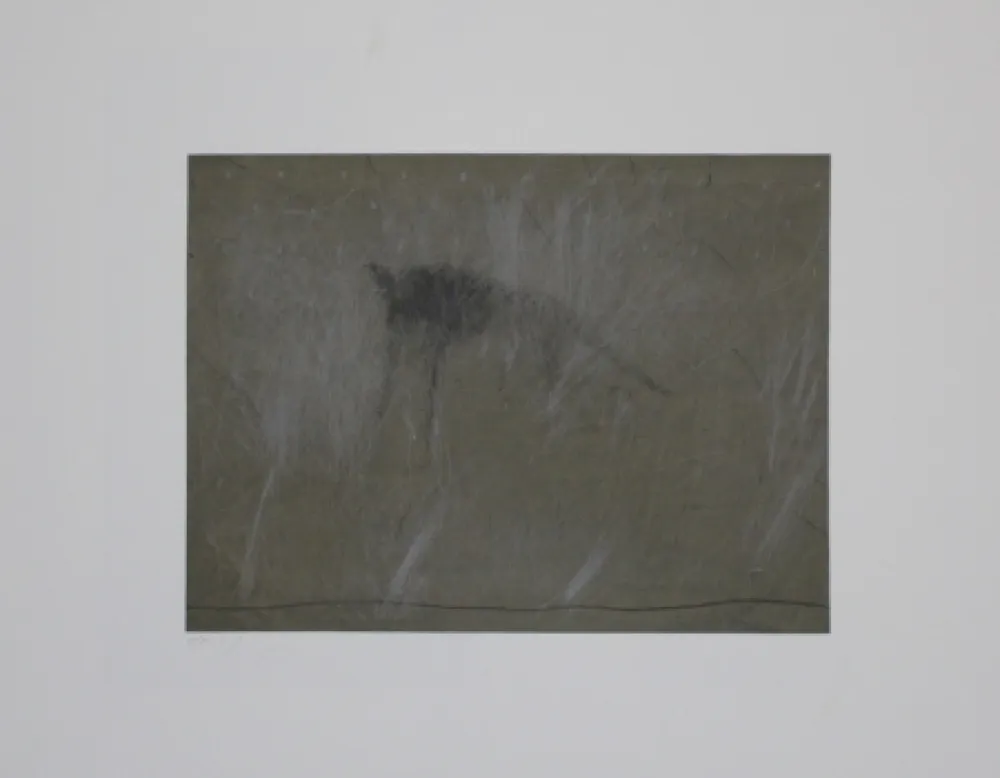 彫版 Fleischmann - Beast