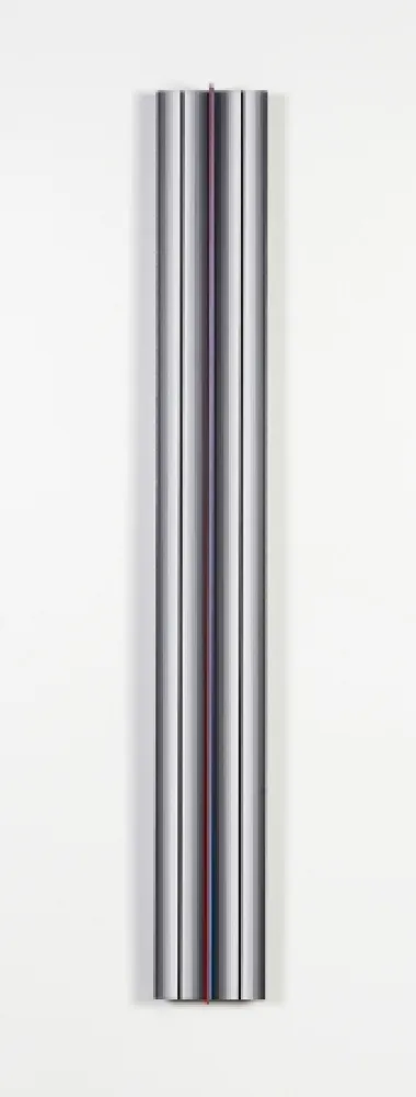 多数の Flores - Prochromatique yc1